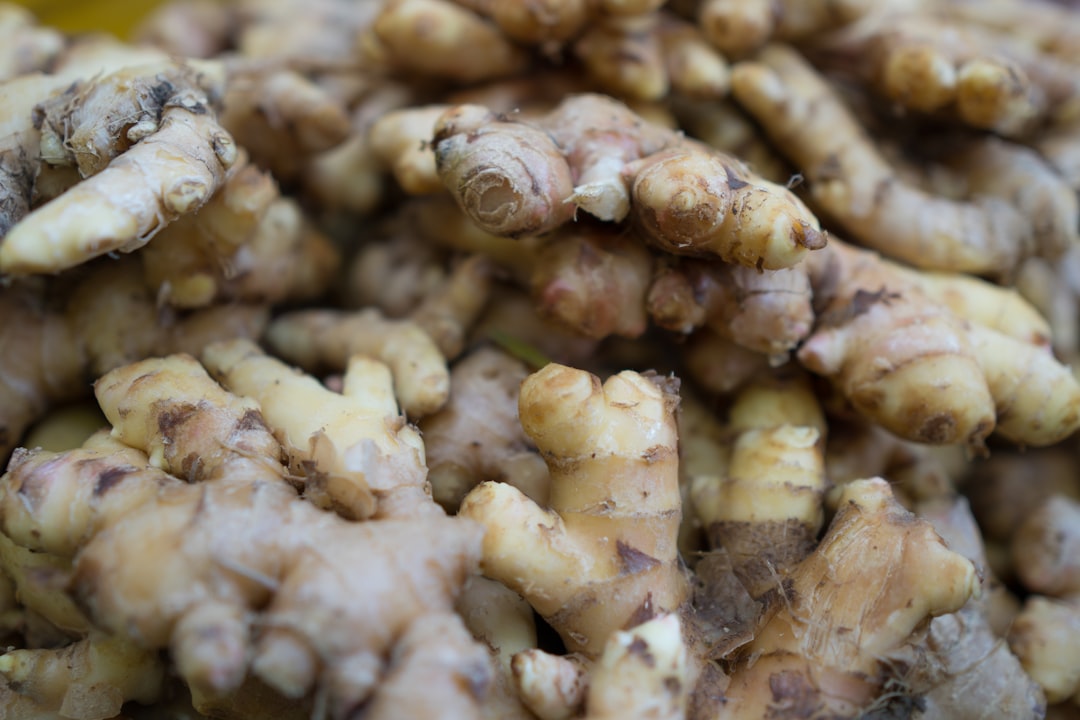 découvrez les bienfaits du gingembre, une racine précieuse utilisée en cuisine et en médecine traditionnelle. apprenez comment l'intégrer dans votre alimentation pour booster votre santé et ajouter une touche épicée à vos plats.