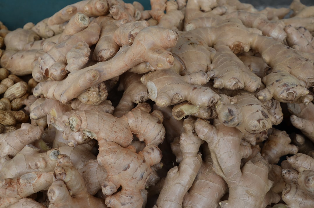 découvrez les bienfaits du gingembre, cette racine aux vertus exceptionnelles. utilisé en cuisine ou en médecine traditionnelle, le gingembre est reconnu pour ses propriétés anti-inflammatoires et digestives. apprenez comment l'intégrer facilement dans votre quotidien pour rehausser vos plats tout en prenant soin de votre santé.