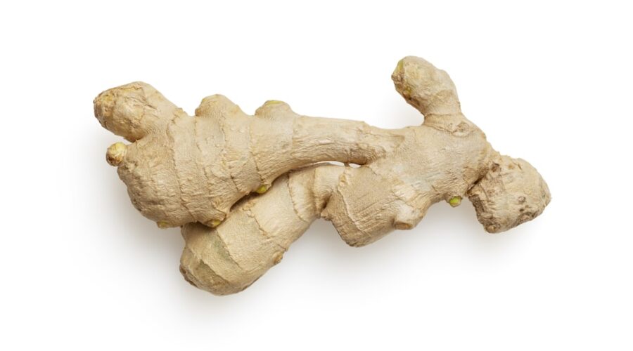 découvrez les bienfaits du gingembre, une épice aux nombreuses vertus. apprenez à l'intégrer dans vos recettes pour apporter saveur et santé à vos plats.