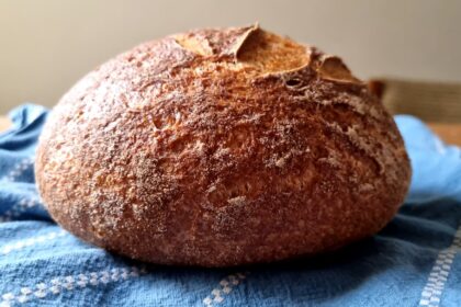 découvrez notre guide complet sur le sans gluten : recettes délicieuses, conseils pratiques et astuces pour adopter un mode de vie sans gluten tout en savourant chaque bouchée.