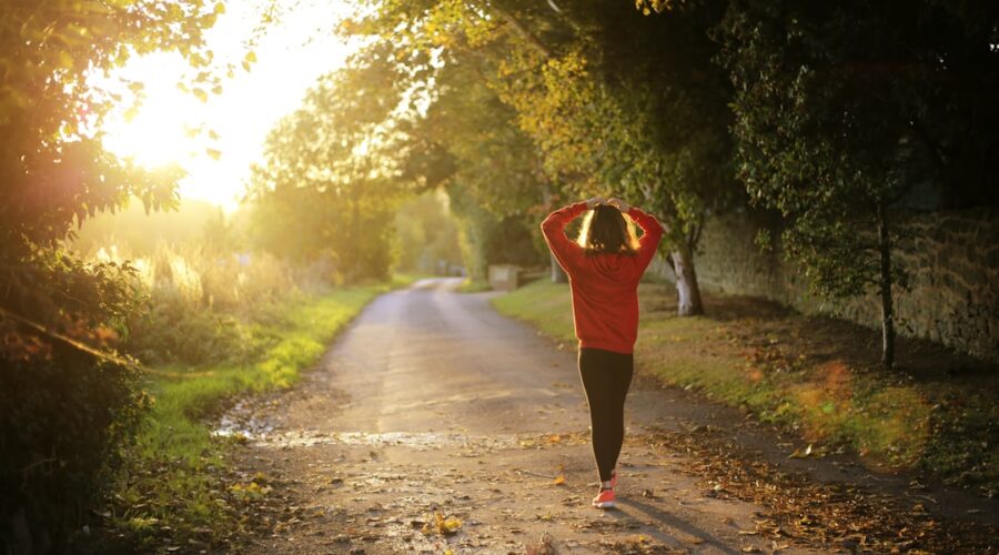 découvrez des conseils et des ressources pour améliorer votre santé et bien-être au quotidien. explorez des sujets variés allant de la nutrition à l'activité physique, en passant par la santé mentale et les soins préventifs.