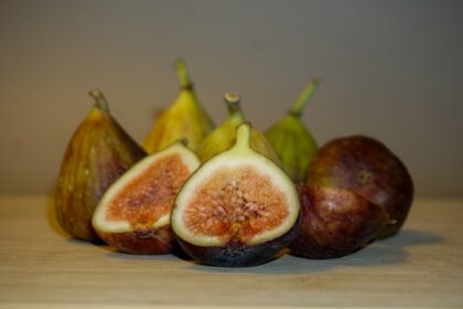 découvrez des alternatives saines qui transformeront votre alimentation en un choix équilibré et nutritif. explorez des recettes délicieuses et des conseils pratiques pour adopter un mode de vie sain.