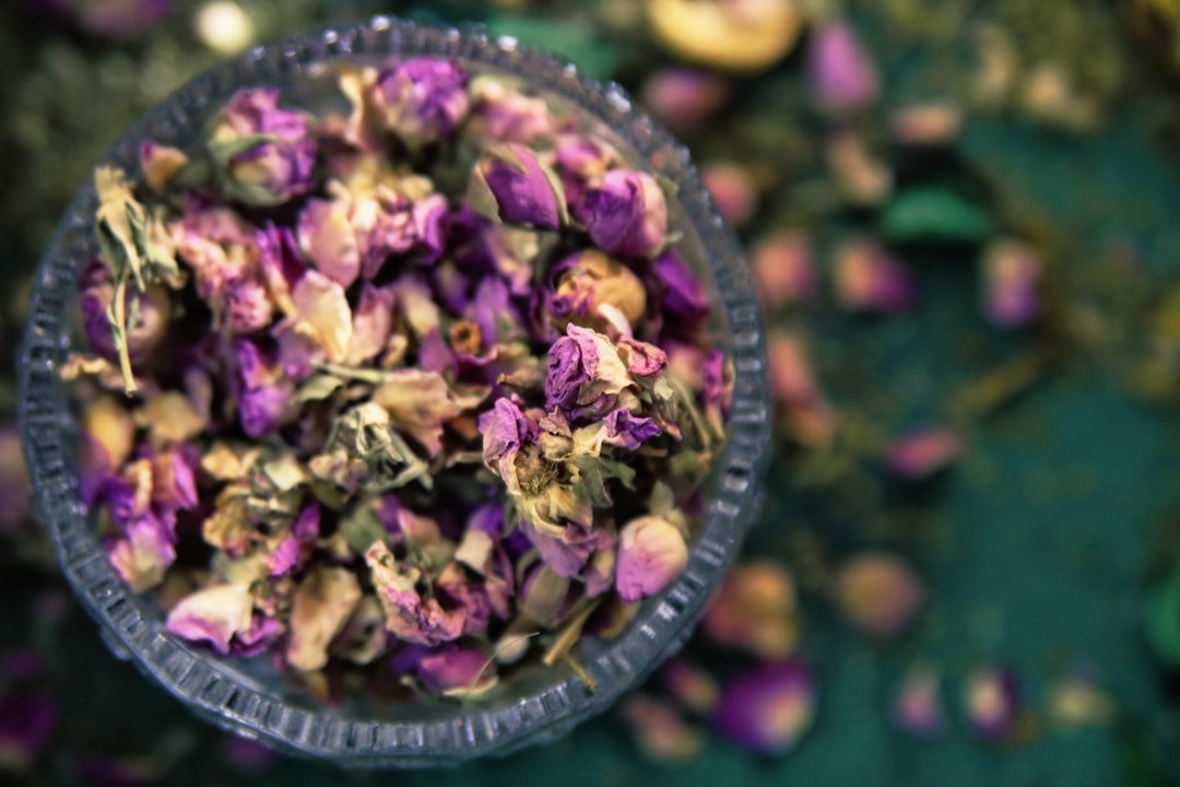 découvrez le pouvoir de la guérison par les plantes avec notre guide sur les remèdes naturels. apprenez à utiliser les herbes pour améliorer votre bien-être et favoriser une santé optimale grâce à des techniques ancestrales.