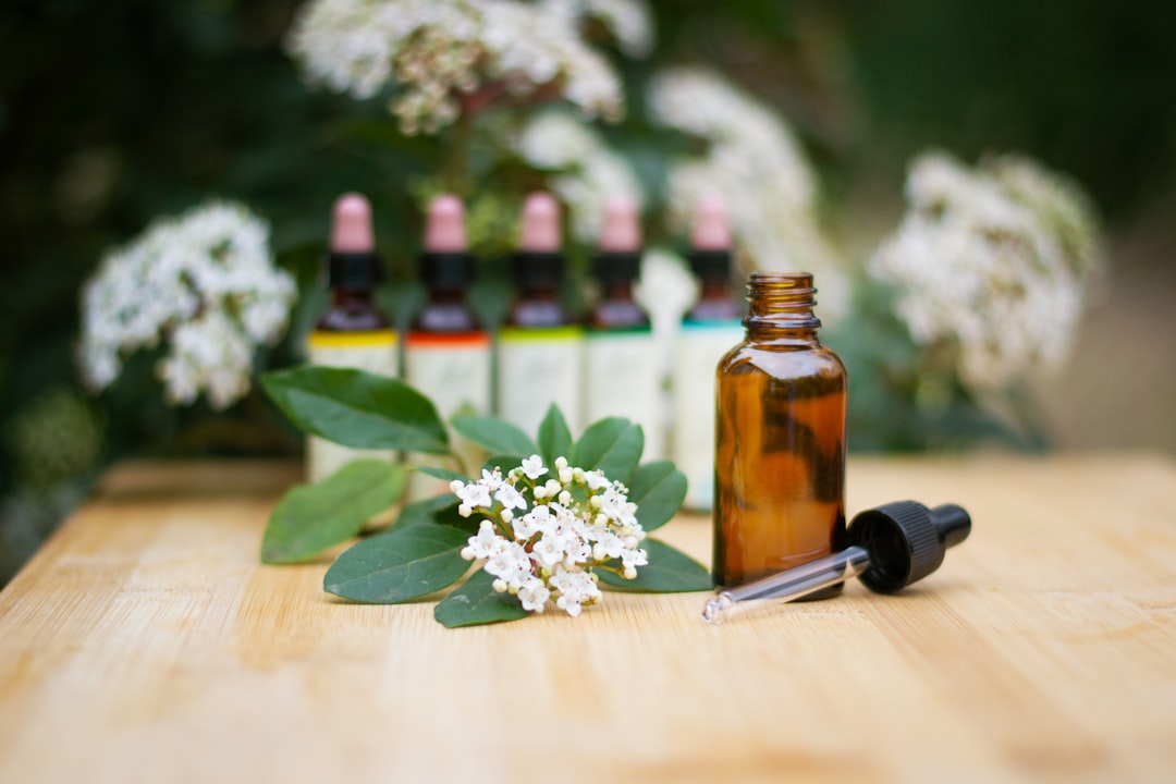 découvrez le pouvoir des plantes avec notre guide sur la guérison à base de plantes. apprenez à utiliser les remèdes naturels pour améliorer votre bien-être et retrouver votre équilibre grâce à des techniques ancestrales.
