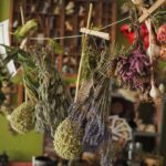 découvrez les bienfaits des remèdes à base de plantes grâce à notre guide complet. apprenez à utiliser les herbes pour améliorer votre bien-être et soutenir votre santé naturelle. explorez des recettes simples et des conseils d'experts pour intégrer ces solutions millénaires dans votre quotidien.