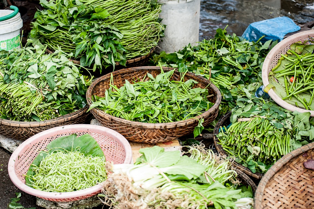 découvrez les remèdes à base de plantes : une approche naturelle pour améliorer votre bien-être et traiter divers maux. explorez les bienfaits des herbes et les recettes traditionnelles au service de votre santé.