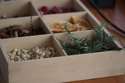 découvrez les remèdes herbaux : des solutions naturelles et efficaces pour améliorer votre bien-être au quotidien. explorez les bienfaits des plantes et retrouvez l'harmonie entre le corps et l'esprit.