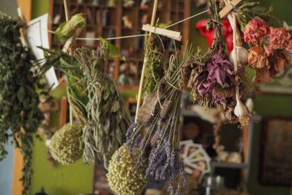 découvrez les bienfaits des remèdes à base de plantes grâce à notre guide complet. apprenez à utiliser les herbes pour améliorer votre bien-être et soutenir votre santé naturelle. explorez des recettes simples et des conseils d'experts pour intégrer ces solutions millénaires dans votre quotidien.
