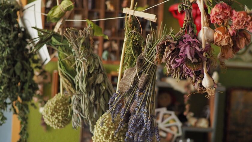 découvrez les bienfaits des remèdes à base de plantes grâce à notre guide complet. apprenez à utiliser les herbes pour améliorer votre bien-être et soutenir votre santé naturelle. explorez des recettes simples et des conseils d'experts pour intégrer ces solutions millénaires dans votre quotidien.