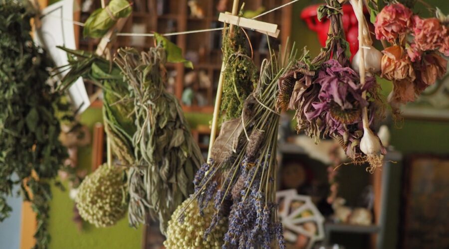 découvrez les bienfaits des remèdes à base de plantes grâce à notre guide complet. apprenez à utiliser les herbes pour améliorer votre bien-être et soutenir votre santé naturelle. explorez des recettes simples et des conseils d'experts pour intégrer ces solutions millénaires dans votre quotidien.