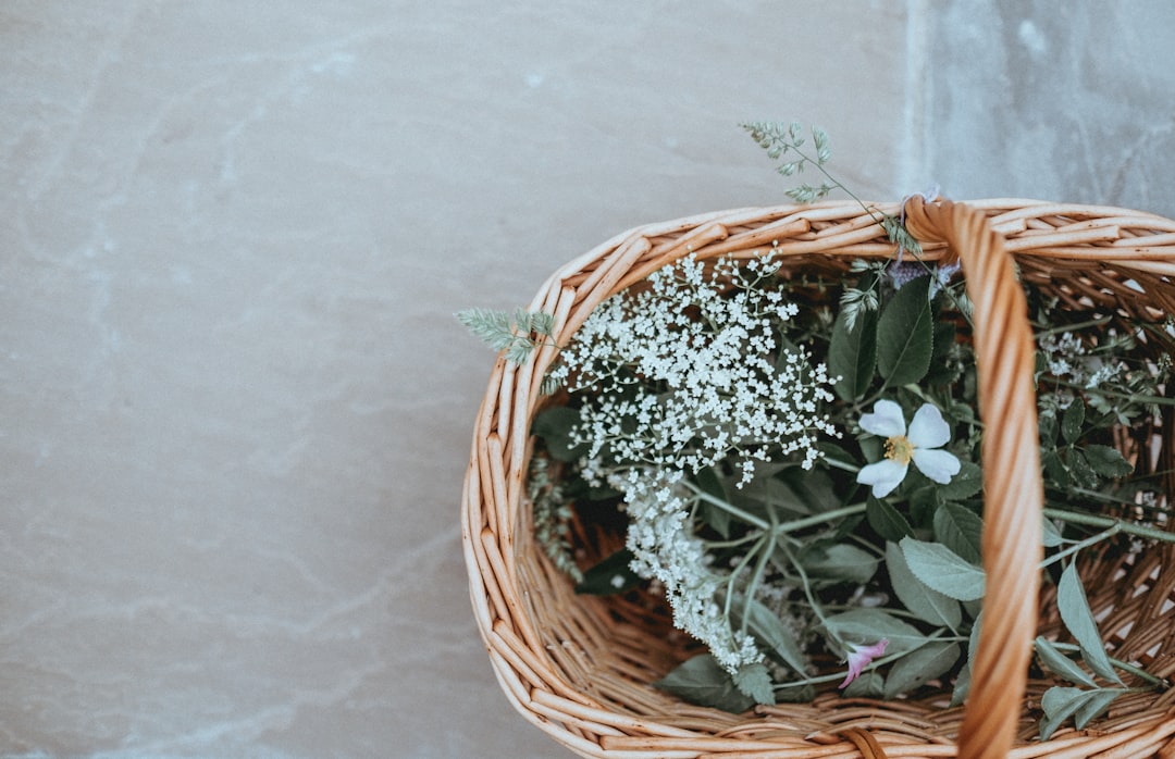 découvrez des remèdes maison efficaces pour soulager divers maux et améliorer votre bien-être au quotidien. des solutions naturelles simples, accessibles et sans effets secondaires !