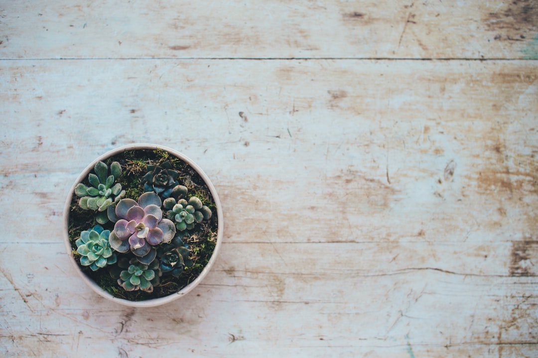 découvrez des remèdes maison efficaces pour soulager divers maux du quotidien. explorez des solutions naturelles et simples à réaliser qui vous aideront à améliorer votre bien-être sans recourir aux médicaments.