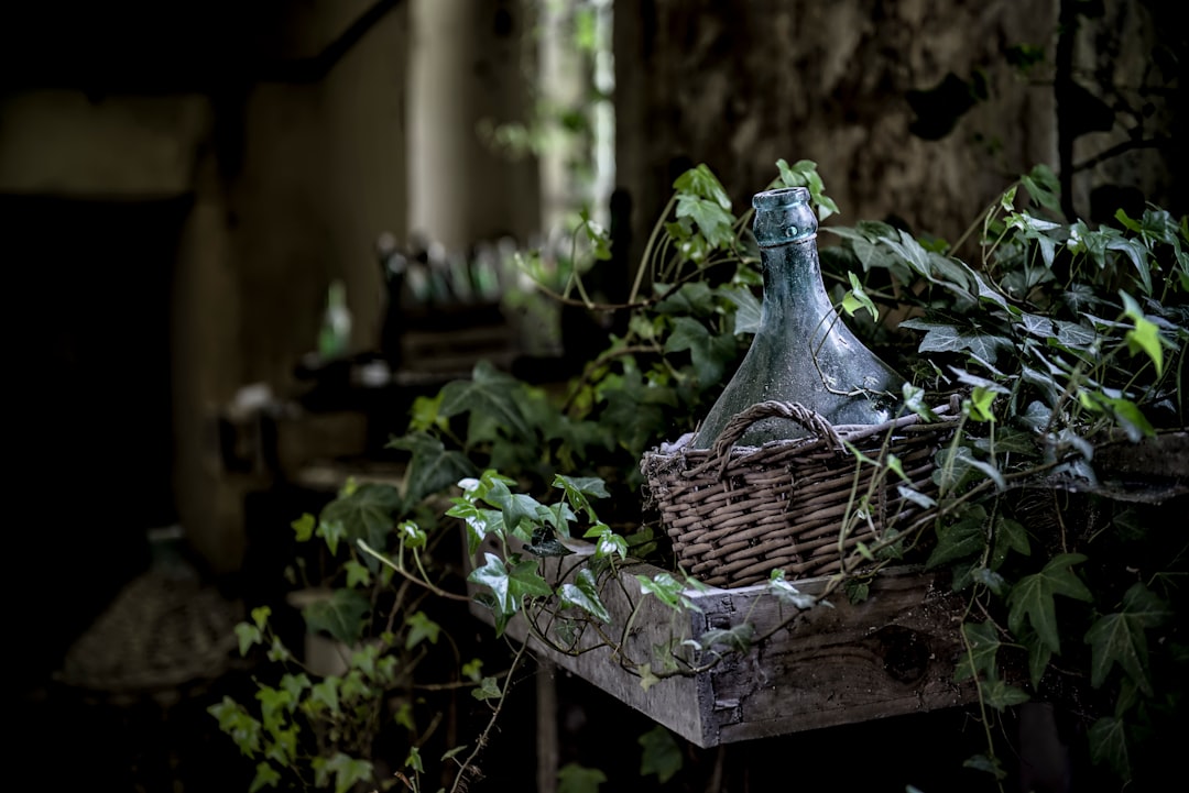 découvrez des remèdes maison efficaces et naturels pour soulager divers maux du quotidien. apprenez à utiliser les ingrédients de votre cuisine pour améliorer votre bien-être et votre santé.
