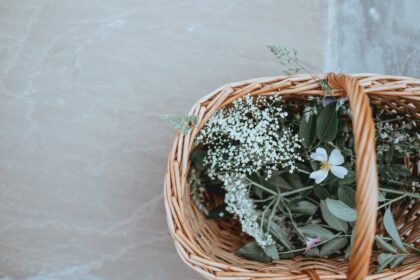 découvrez des remèdes maison efficaces et naturels pour soulager divers problèmes de santé. apprenez à utiliser des ingrédients simples de votre cuisine pour améliorer votre bien-être, diminuer le stress et renforcer votre immunité.