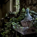 découvrez des remèdes maison efficaces pour soulager vos maux du quotidien. explorez des solutions naturelles et simples à préparer, alliant santé et bien-être, tout en évitant les produits chimiques.