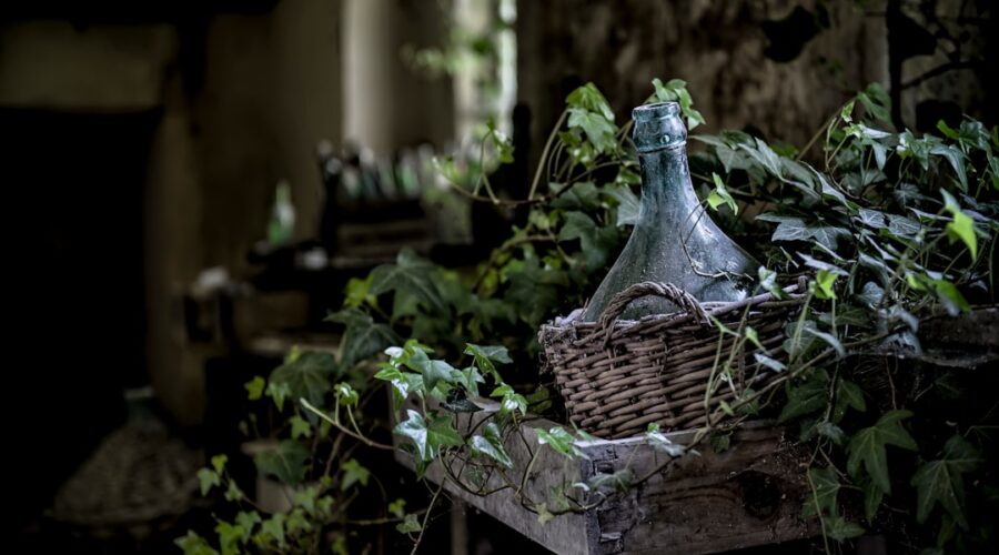 découvrez des remèdes maison efficaces pour soulager vos maux du quotidien. explorez des solutions naturelles et simples à préparer, alliant santé et bien-être, tout en évitant les produits chimiques.