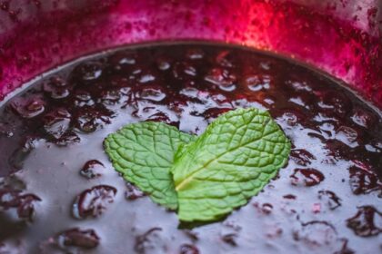 découvrez notre délicieuse recette de compote maison, faite avec des fruits frais et naturels. parfaite pour accompagner vos petits-déjeuners ou en dessert, elle apporte une touche d'authenticité et de saveurs à vos plats.