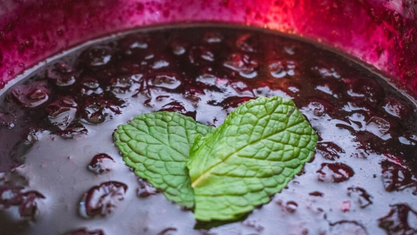 découvrez notre délicieuse recette de compote maison, faite avec des fruits frais et naturels. parfaite pour accompagner vos petits-déjeuners ou en dessert, elle apporte une touche d'authenticité et de saveurs à vos plats.