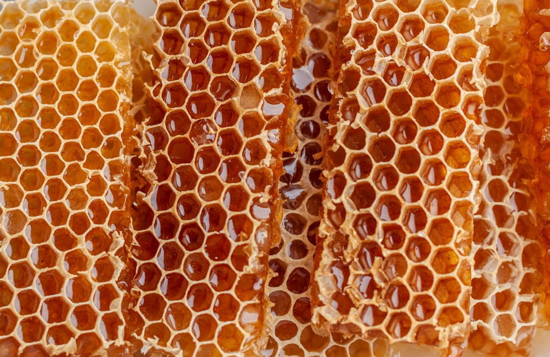 découvrez l'univers fascinant du miel, ses variétés, ses bienfaits pour la santé et des recettes délicieuses pour l'intégrer à votre alimentation quotidienne.