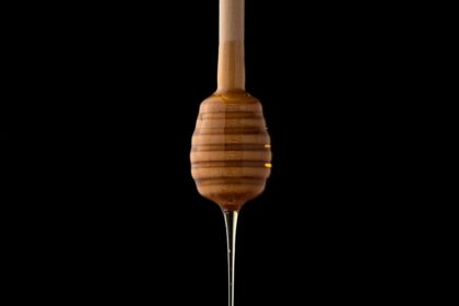 découvrez les bienfaits du miel, un trésor de la nature aux multiples vertus. apprenez-en davantage sur ses origines, ses variétés, et comment l'intégrer dans votre alimentation pour profiter de ses propriétés nutritives et médicinales.