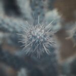 découvrez comment renforcer votre système immunitaire avec nos conseils et astuces pratiques. optez pour des solutions naturelles, des recettes santé et des recommandations de mode de vie pour un corps plus résistant et en pleine forme.