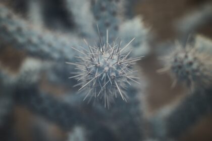 découvrez comment renforcer votre système immunitaire avec nos conseils et astuces pratiques. optez pour des solutions naturelles, des recettes santé et des recommandations de mode de vie pour un corps plus résistant et en pleine forme.