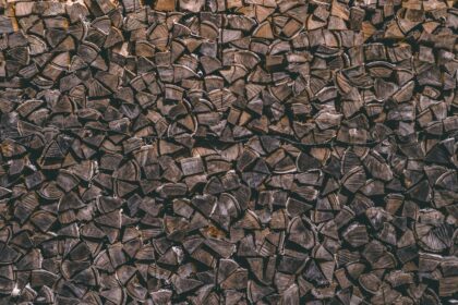 découvrez comment optimiser l'absorption du fer dans votre corps. apprenez les meilleures pratiques alimentaires, les aliments riches en fer et les facteurs qui influencent son assimilation pour maintenir des niveaux de fer adéquats.