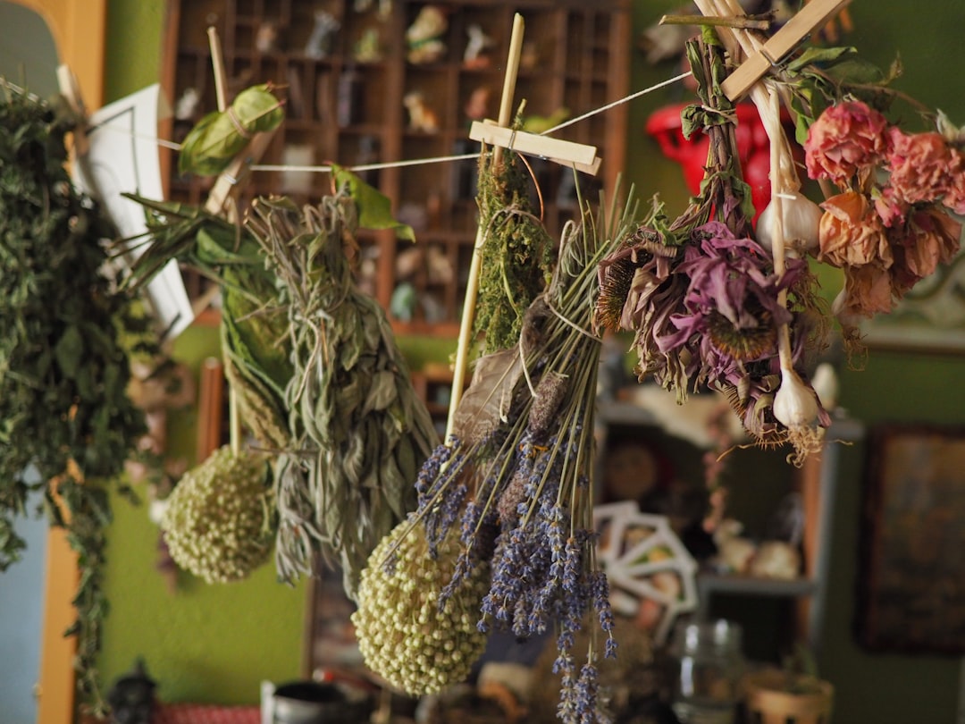 découvrez le monde fascinant des herbes médicinales, leurs bienfaits pour la santé, et comment les utiliser au quotidien pour améliorer votre bien-être naturel.