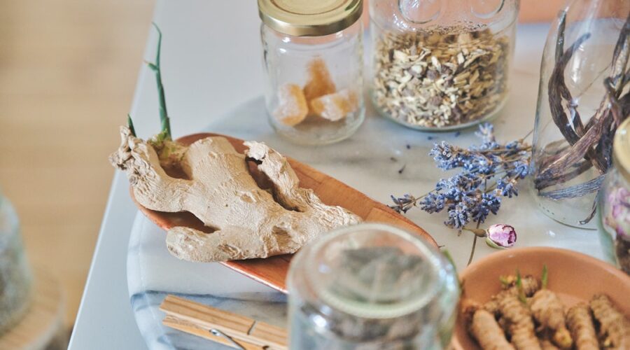 découvrez le pouvoir des herbes médicinales, ces plantes ancestrales aux vertus curatives. apprenez comment les intégrer dans votre quotidien pour améliorer votre santé et bien-être naturellement.