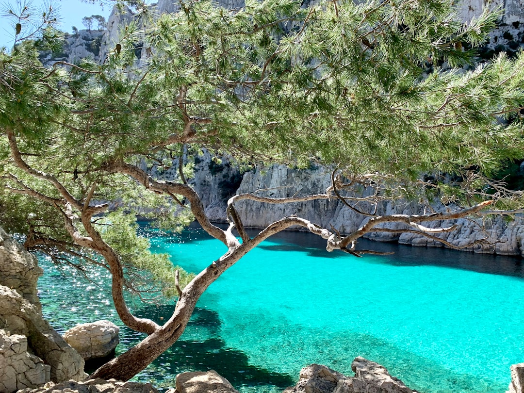 découvrez les merveilles de la méditerranée : ses paysages envoûtants, sa riche culture, ses délicieuses cuisines, et ses plages paradisiaques. explorez une région où l'histoire et la modernité se rencontrent pour offrir une expérience inoubliable.