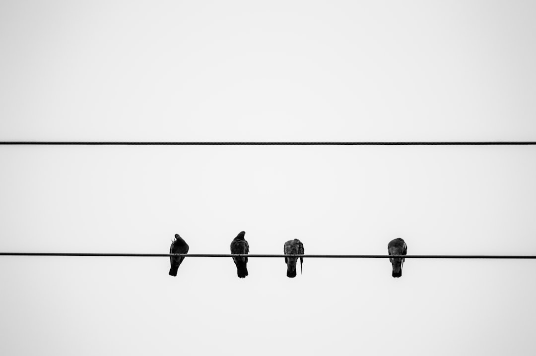 découvrez l'harmonie mentale : des conseils et techniques pour apaiser votre esprit, améliorer votre bien-être et favoriser la sérénité au quotidien.