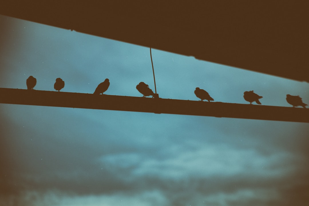 découvrez l'harmonie mentale, un état de bien-être équilibré qui favorise la paix intérieure et la clarté d'esprit. apprenez des techniques de relaxation, de méditation et de gestion du stress pour améliorer votre santé mentale et vivre une vie épanouissante.