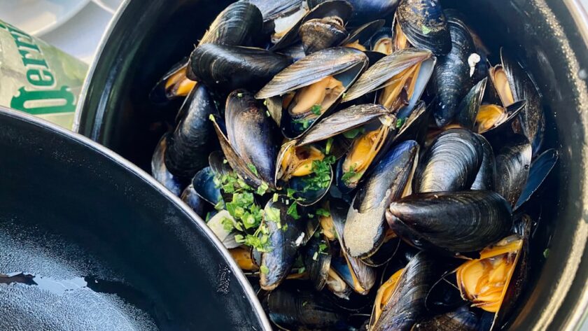 découvrez l'univers savoureux des moules, un délice marin à la fois tendre et rempli de saveurs. apprenez à les cuisiner de diverses façons, de la mouclade aux moules marinières, et explorez des recettes faciles et délicieuses pour ravir vos convives.