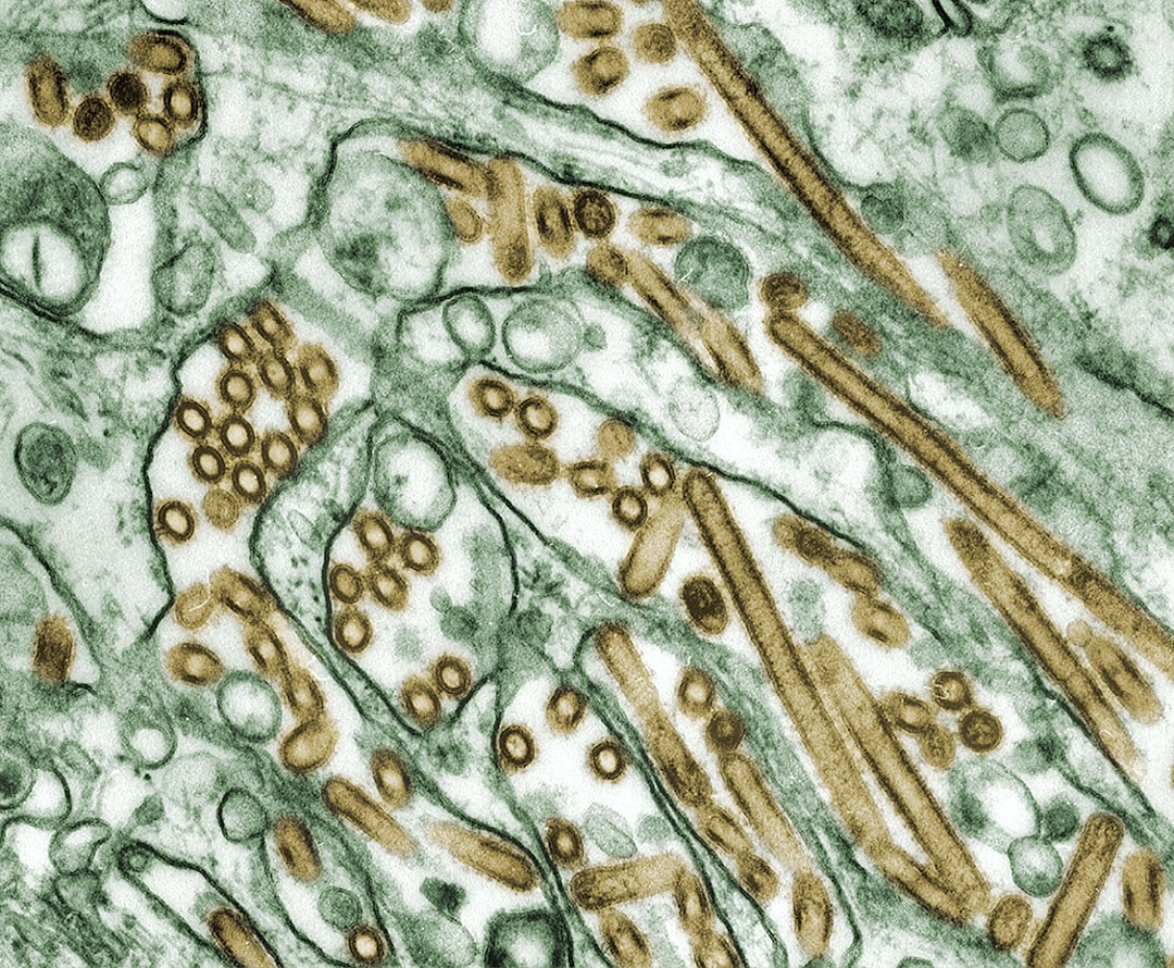 découvrez les causes et les solutions pour soulager la congestion nasale. apprenez à identifier les symptômes et à adopter des remèdes efficaces pour dégager vos voies respiratoires et retrouver un confort optimal.