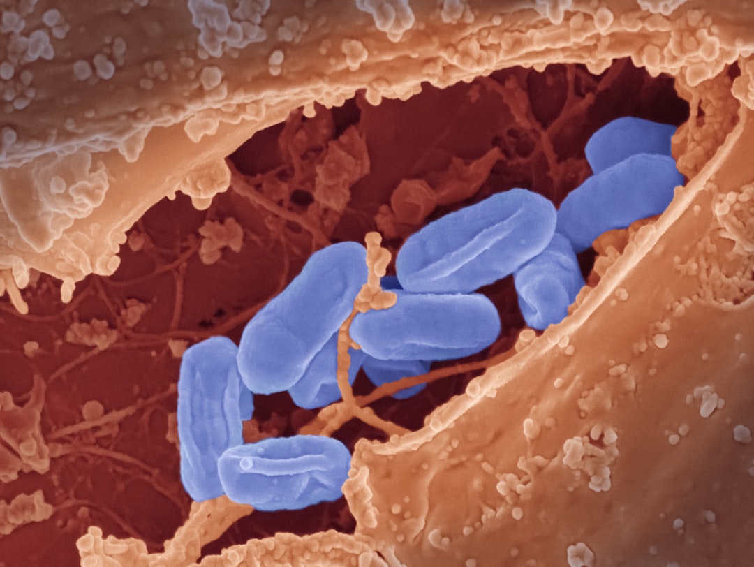 découvrez les bienfaits des antibactériens naturels, des solutions efficaces et respectueuses de l'environnement pour protéger votre santé et votre bien-être au quotidien. explorez des alternatives à base d'ingrédients naturels qui combattent les microbes tout en préservant votre peau.