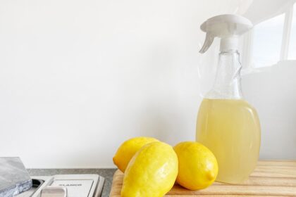 découvrez les avantages du nettoyage naturel avec des produits écologiques et efficaces. transformez votre maison en un espace sain, sans produits chimiques, tout en préservant l'environnement. adoptez une approche durable pour un nettoyage harmonieux et responsable.