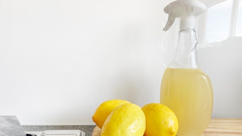 découvrez les avantages du nettoyage naturel avec des produits écologiques et efficaces. transformez votre maison en un espace sain, sans produits chimiques, tout en préservant l'environnement. adoptez une approche durable pour un nettoyage harmonieux et responsable.