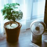 découvrez les méthodes de refroidissement naturel pour améliorer le confort de votre maison tout en réduisant votre empreinte énergétique. apprenez à utiliser la ventilation, l'ombre et la géométrie des bâtiments pour profiter d'une température agréable sans recourir à la climatisation. adoptez des solutions écologiques pour un cadre de vie sain et durable.
