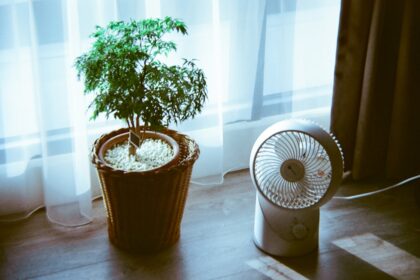 découvrez les méthodes de refroidissement naturel pour améliorer le confort de votre maison tout en réduisant votre empreinte énergétique. apprenez à utiliser la ventilation, l'ombre et la géométrie des bâtiments pour profiter d'une température agréable sans recourir à la climatisation. adoptez des solutions écologiques pour un cadre de vie sain et durable.