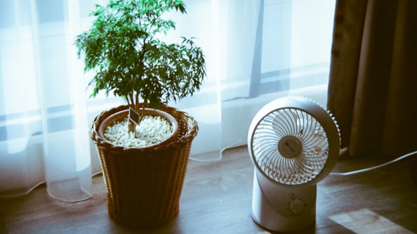 découvrez les méthodes de refroidissement naturel pour améliorer le confort de votre maison tout en réduisant votre empreinte énergétique. apprenez à utiliser la ventilation, l'ombre et la géométrie des bâtiments pour profiter d'une température agréable sans recourir à la climatisation. adoptez des solutions écologiques pour un cadre de vie sain et durable.
