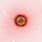 découvrez tout sur l'immunité naturelle : son fonctionnement, ses bienfaits pour la santé et des conseils pour renforcer vos défenses immunitaires de manière naturelle.