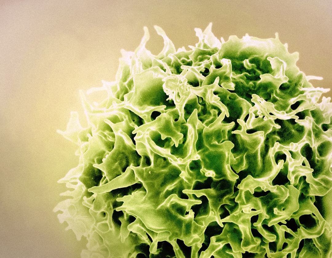 découvrez l'immunité naturelle : apprenez comment votre corps se défend contre les infections et maladies, et les moyens de renforcer vos défenses immunitaires de façon naturelle et saine.