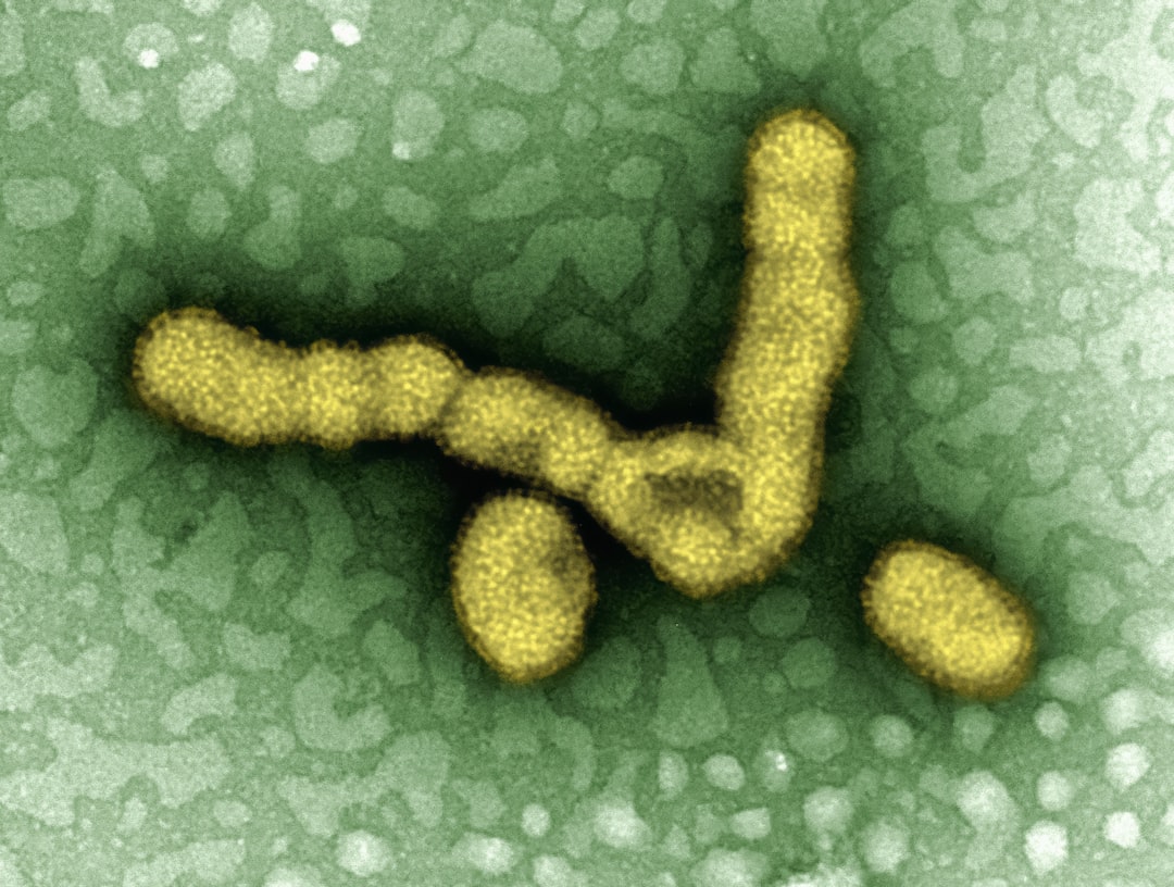 découvrez les bienfaits de l'immunité naturelle : son rôle essentiel dans la protection de l'organisme, les facteurs qui l'influencent et des conseils pour la renforcer au quotidien. apprenez comment votre corps se défend naturellement contre les infections et les maladies.