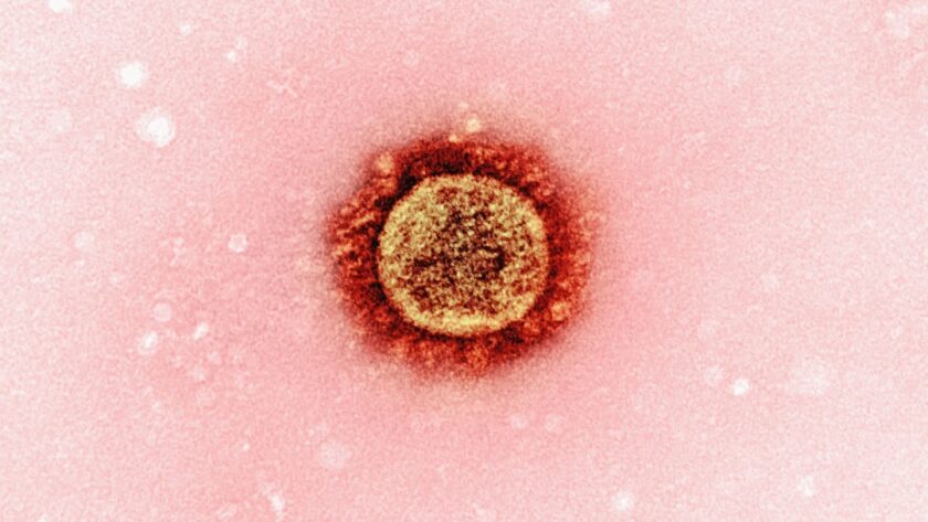 découvrez tout sur l'immunité naturelle : son fonctionnement, ses bienfaits pour la santé et des conseils pour renforcer vos défenses immunitaires de manière naturelle.