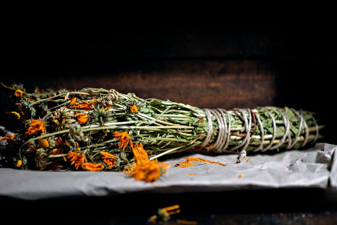 découvrez des remèdes naturels efficaces pour améliorer votre bien-être au quotidien. explorez des solutions santé sans produits chimiques, basées sur des plantes et des techniques ancestrales.