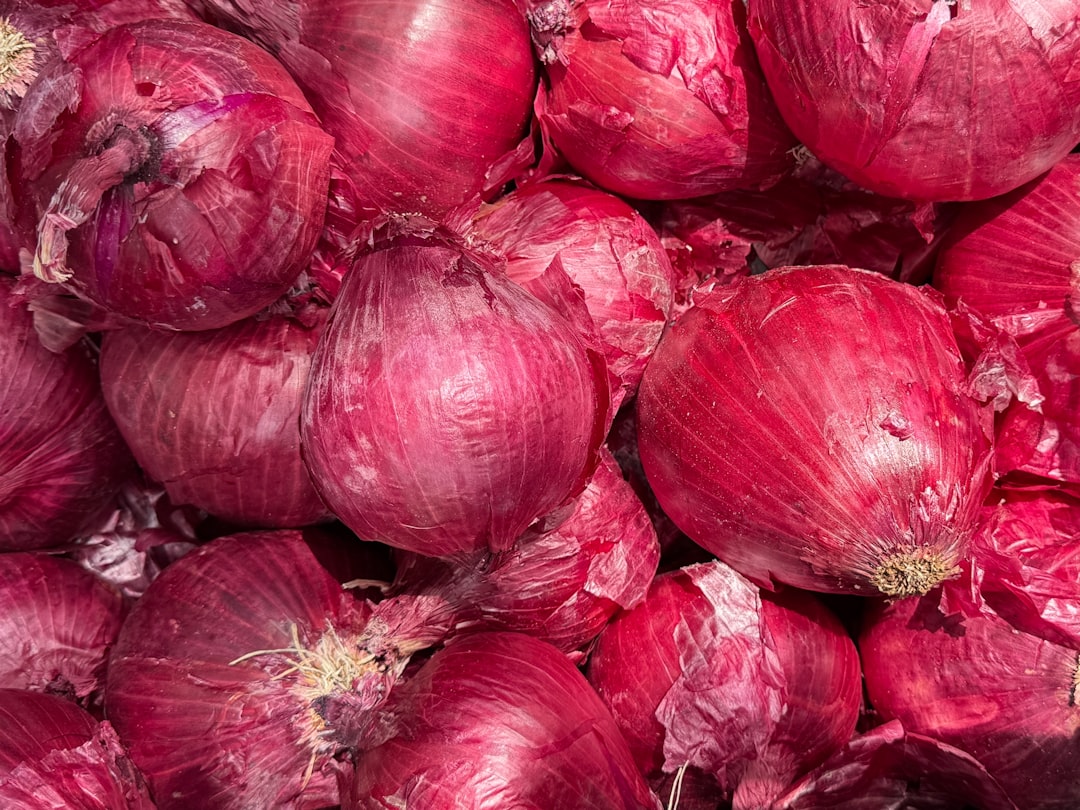 découvrez des recettes savoureuses à base d'oignons, allant des plats classiques aux créations innovantes. éveillez vos papilles avec des idées faciles et délicieuses pour intégrer ce légume incontournable dans vos repas.