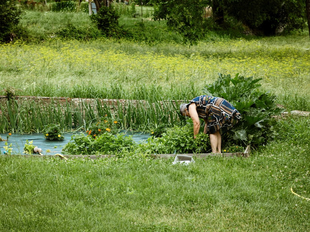 découvrez les bienfaits du jardinage biologique : des techniques durables pour cultiver des plantes saines sans produits chimiques. apprenez à créer un écosystème respectueux de l'environnement tout en récoltant des fruits et légumes savoureux.