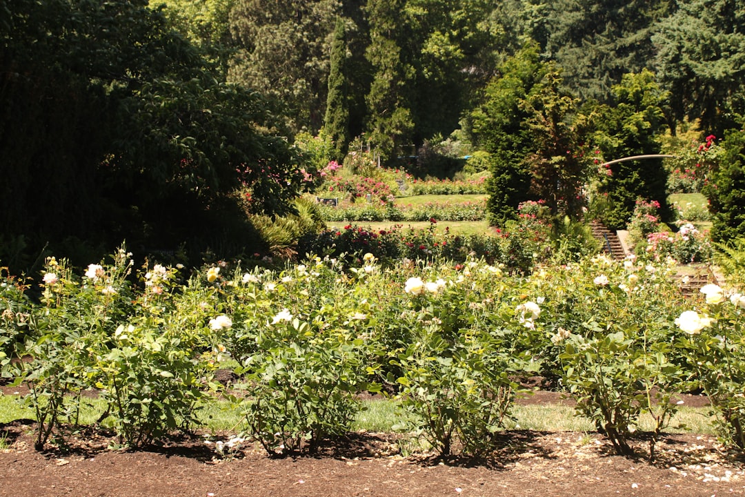 découvrez l'art du jardinage biologique : apprenez des techniques durables pour cultiver vos plantes sans pesticides, favoriser la biodiversité et obtenir des récoltes saines. transformez votre espace en un jardin écologique qui respecte l'environnement et nourrit votre famille.