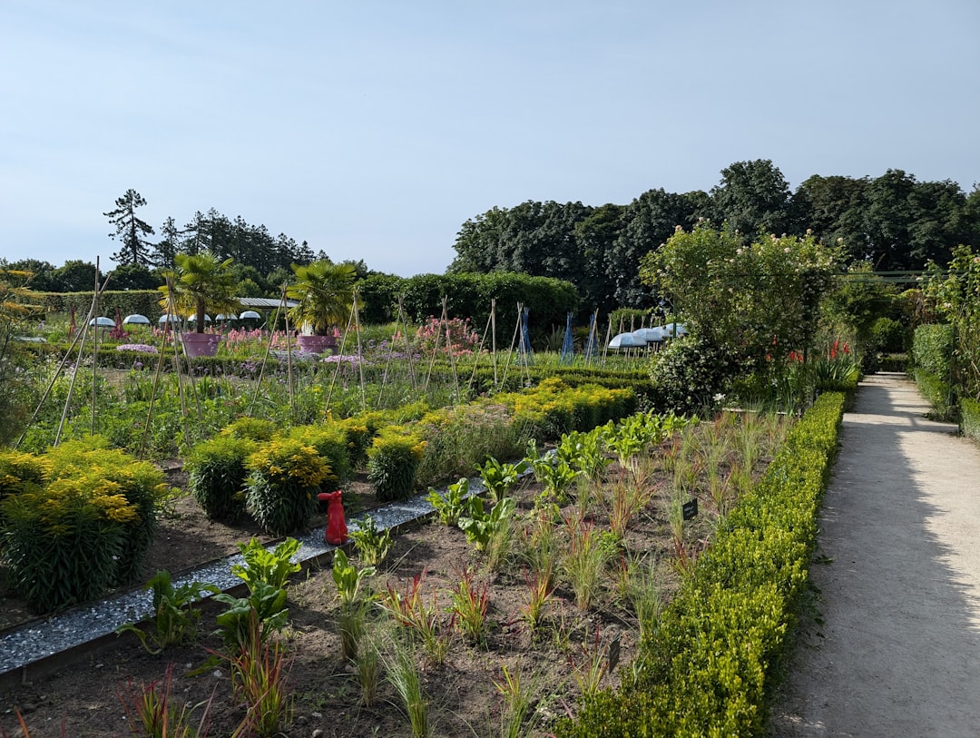 découvrez l'univers du jardinage biologique : des techniques durables, des conseils pour cultiver vos propres fruits et légumes, ainsi que des astuces pour préserver la biodiversité tout en respectant l'environnement.