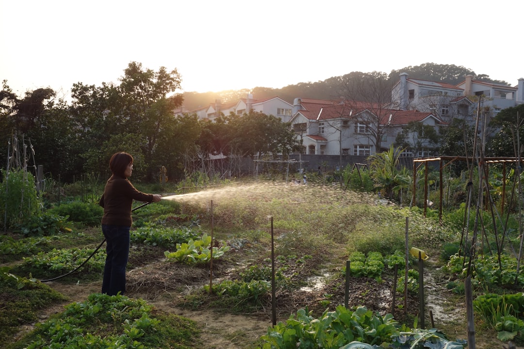 découvrez les bienfaits du jardinage organique ! apprenez à cultiver vos plantes de manière naturelle, sans pesticides ni produits chimiques. profitez d'une récolte saine et savoureuse tout en préservant l'environnement.